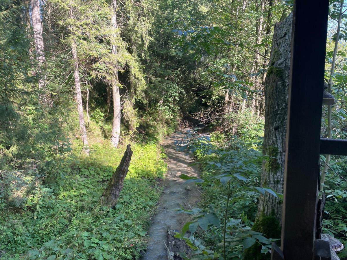 Apartament Idylla Daire Zakopane Dış mekan fotoğraf