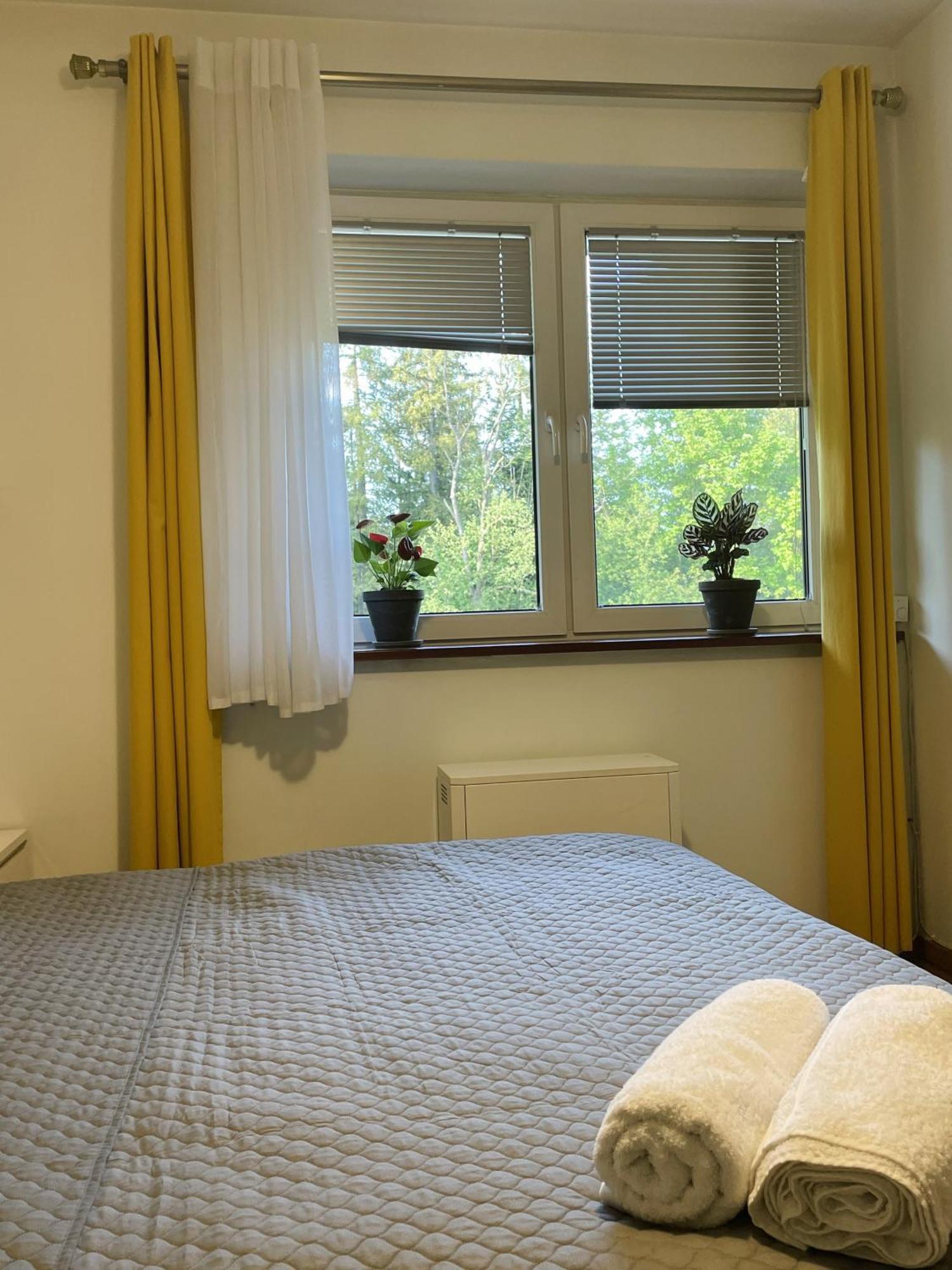 Apartament Idylla Daire Zakopane Dış mekan fotoğraf